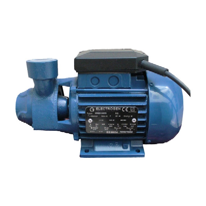 پمپ آب یک اسب محیطی مدل KPM100 الکتروژن